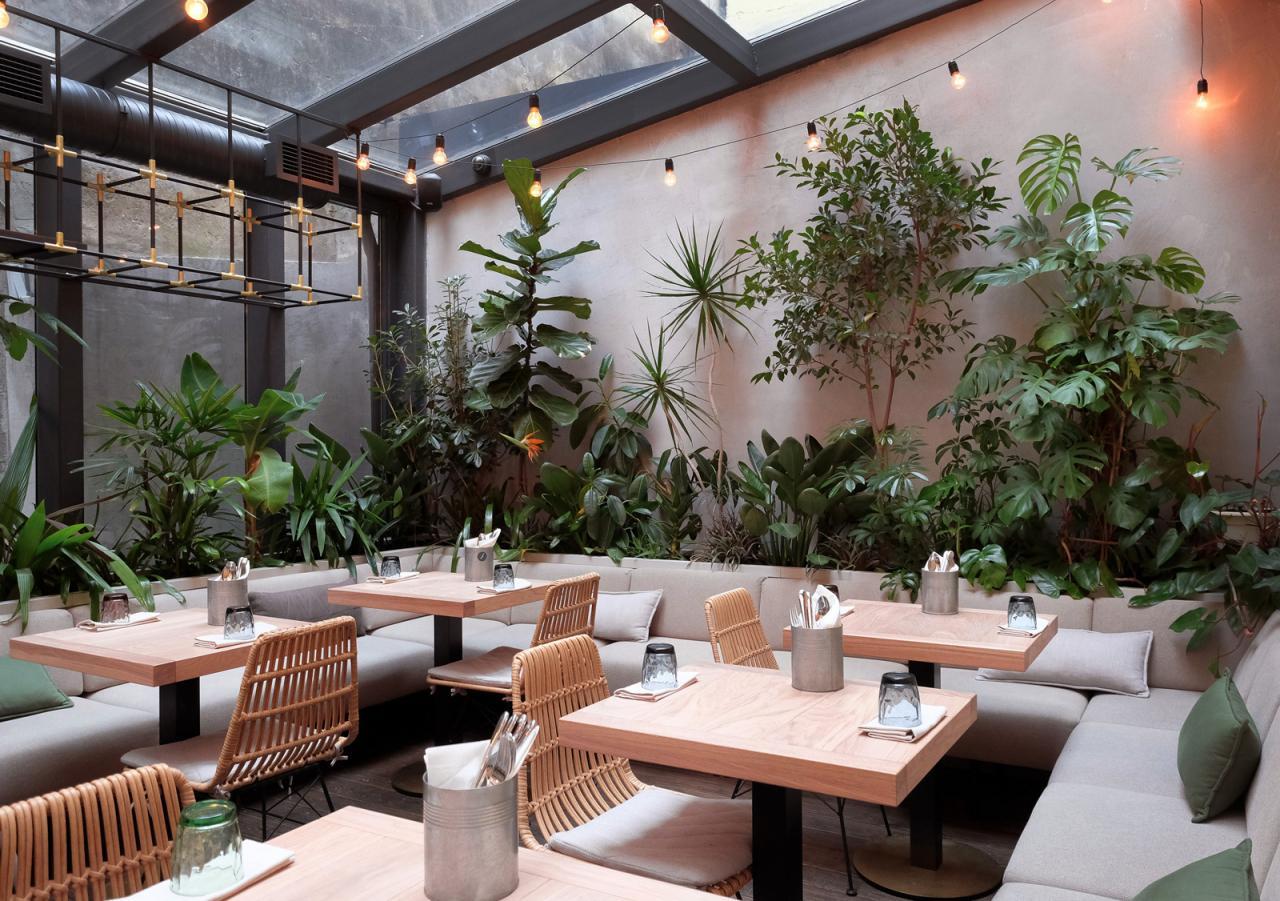 Jungle