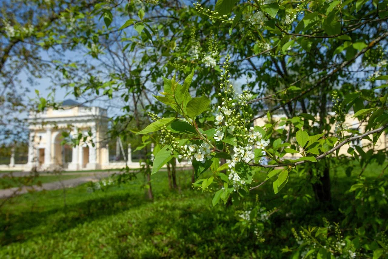 Усадьба Гребнево