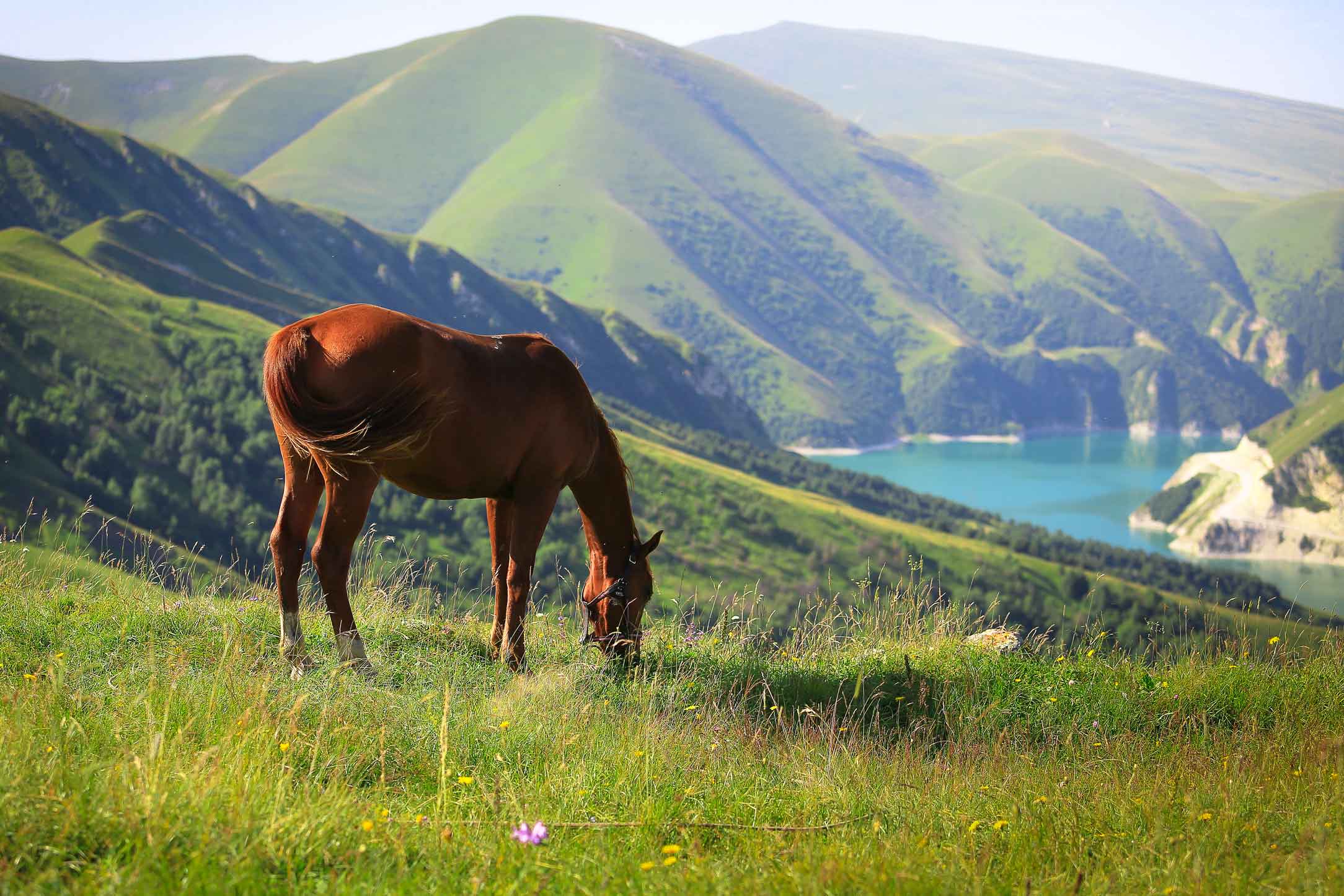 Притяжение Кавказа (заезд по субботам)