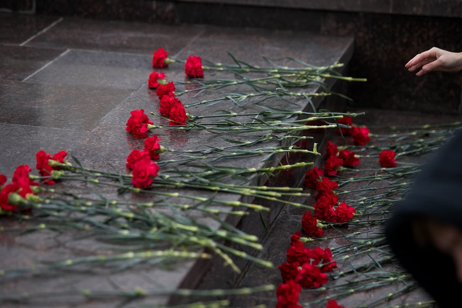 Этих дней не смолкнет слава (3 дня)