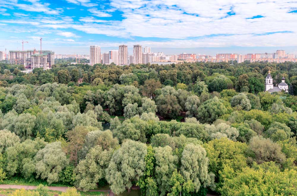 Выходной на улице Вильгельма Пика
