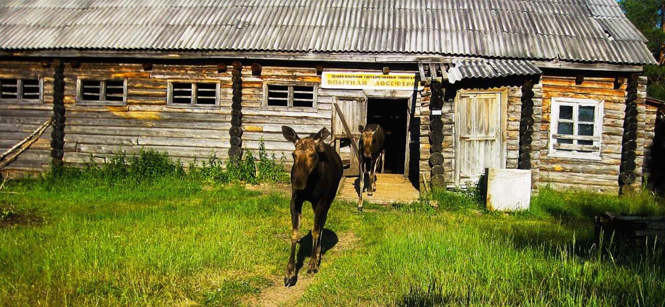 Семейная прогулка: знакомство с окрестностями Печоры