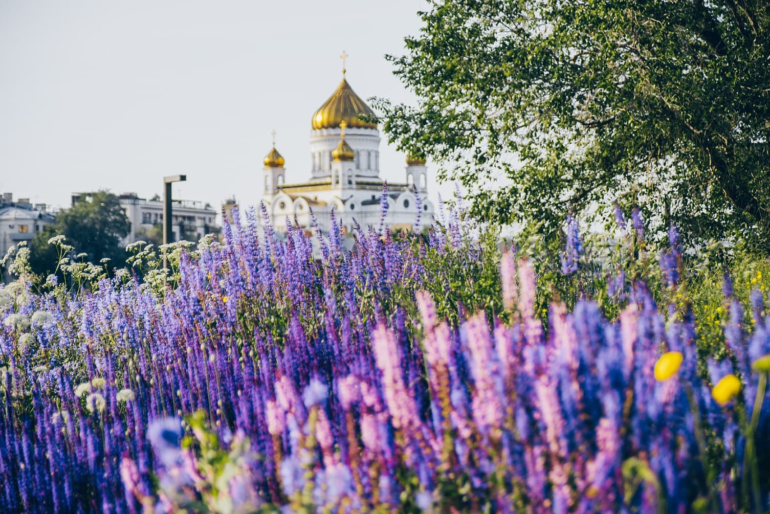 Эстетика Якиманки