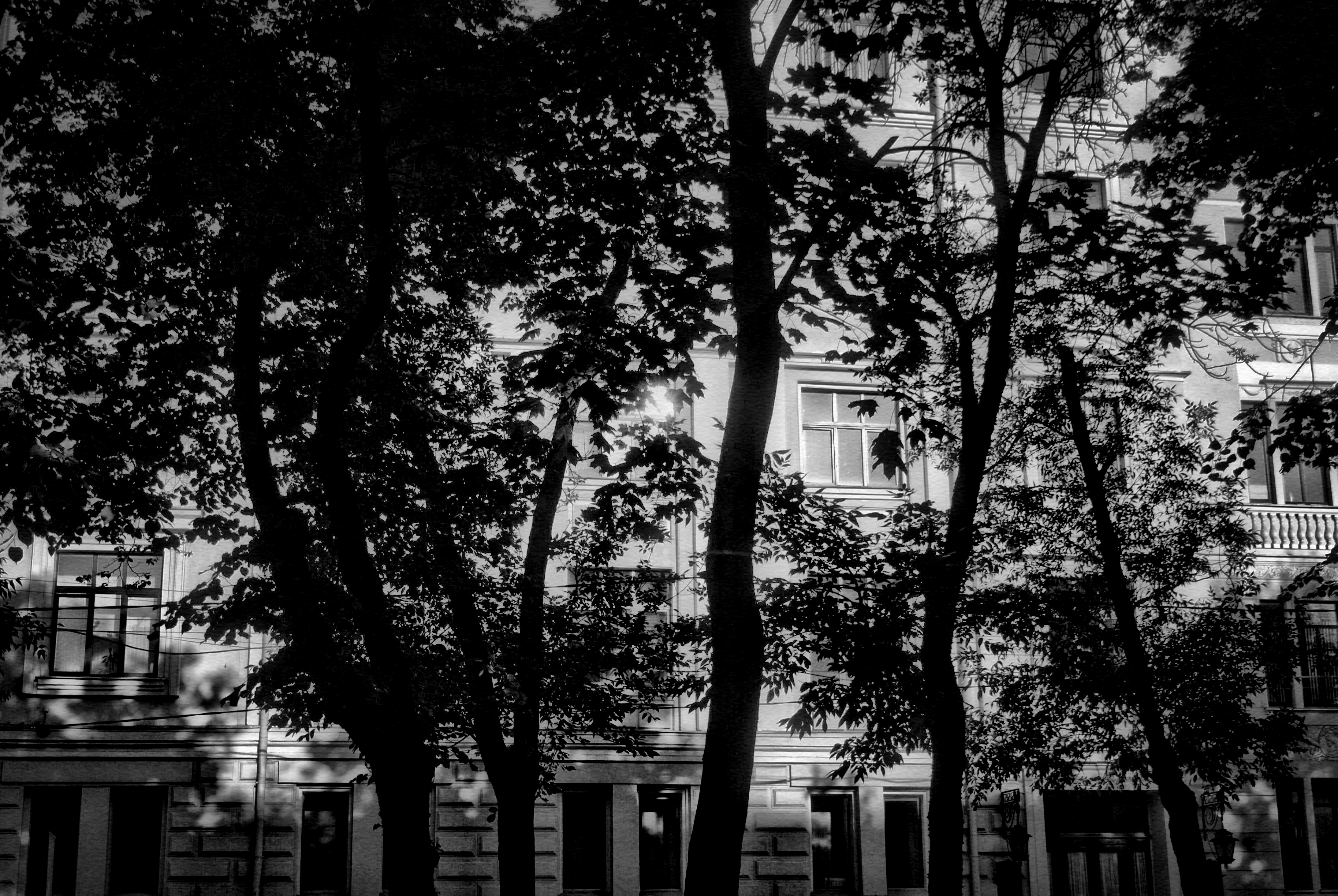 «Место встречи изменить нельзя». Москва в кадре культового советского детектива  